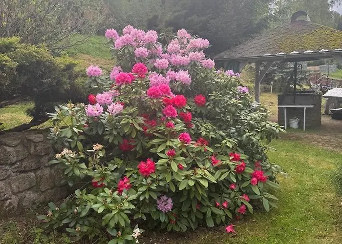 Marzenie Pensjonat Przesieka